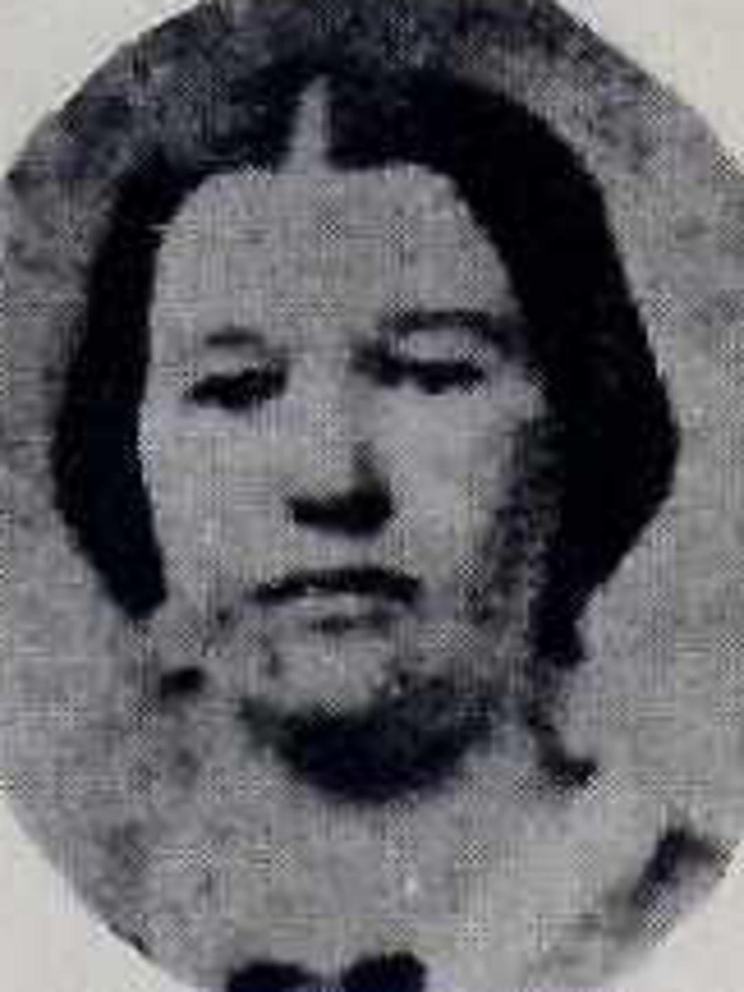Martha Zina Huntington (1844 - 1883) Profile